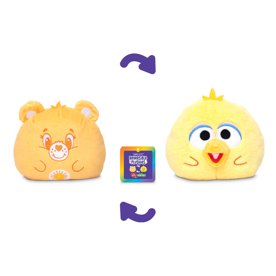 Funshine Bear & Big Bird 4