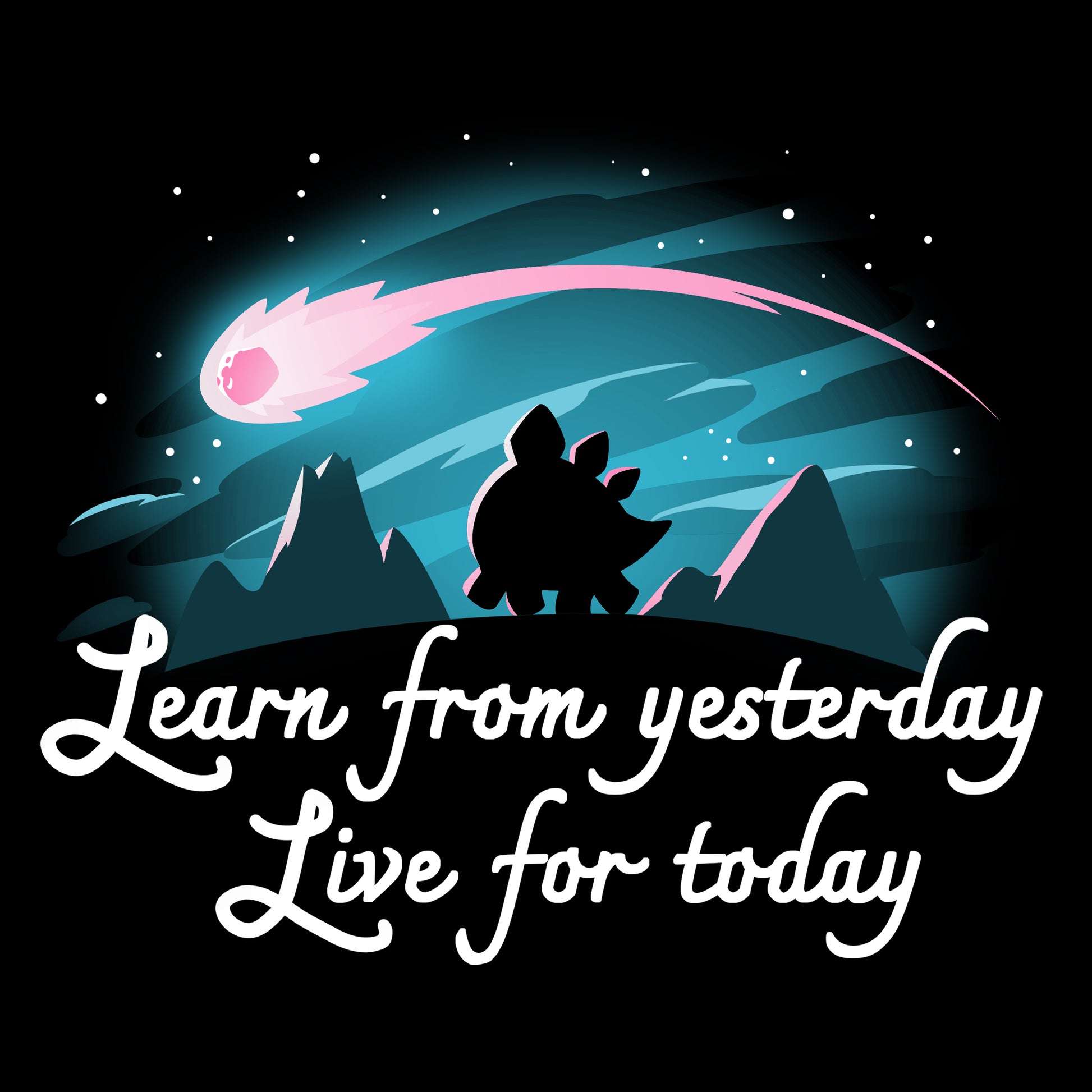Learn From Yesterday, Live For Today TeeTurtle shirt to inspire living for today.