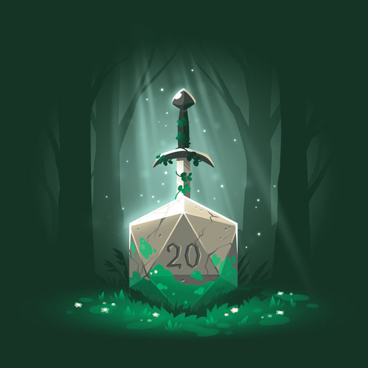 A TeeTurtle T-shirt with a Sword in the D20 design.