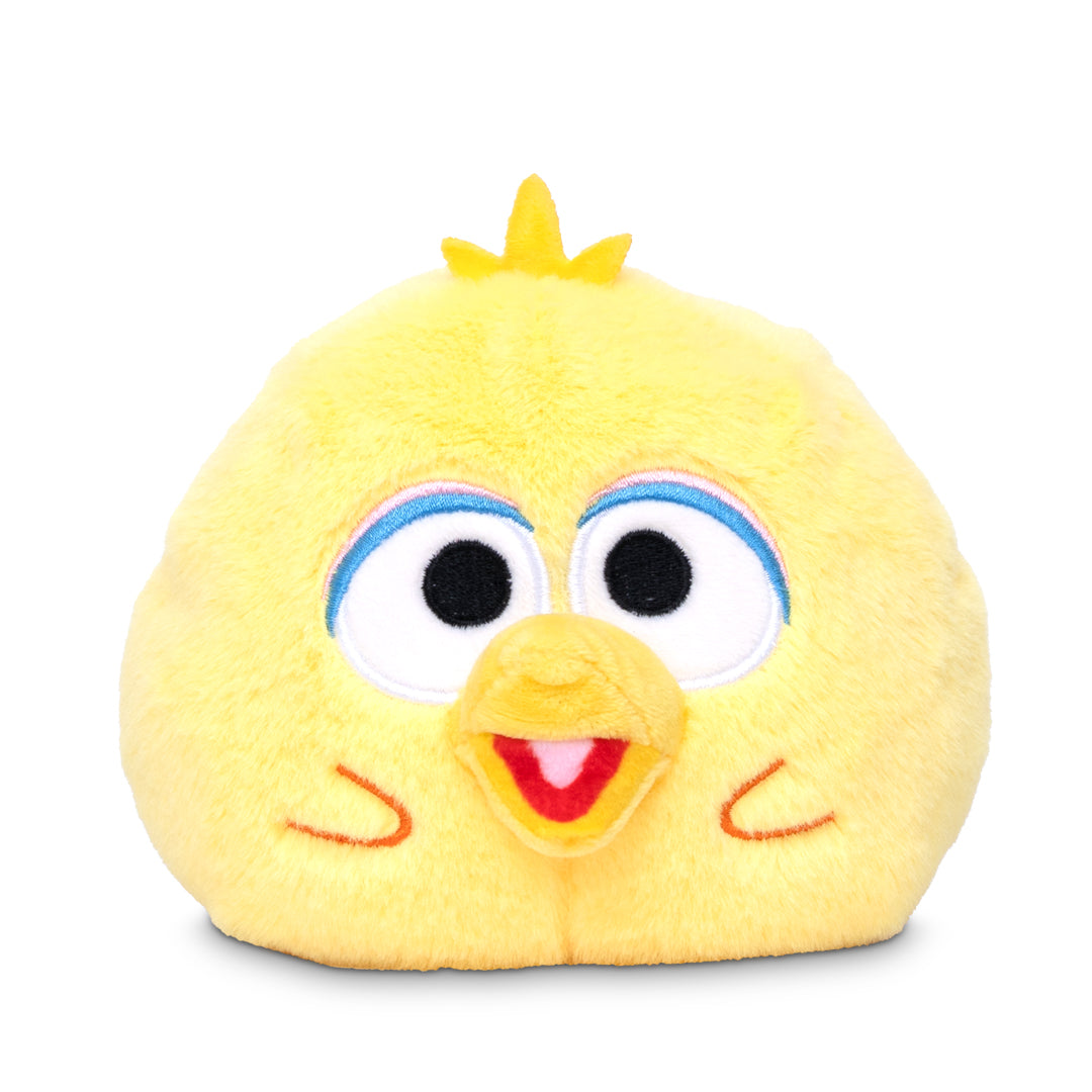 Funshine Bear & Big Bird 4