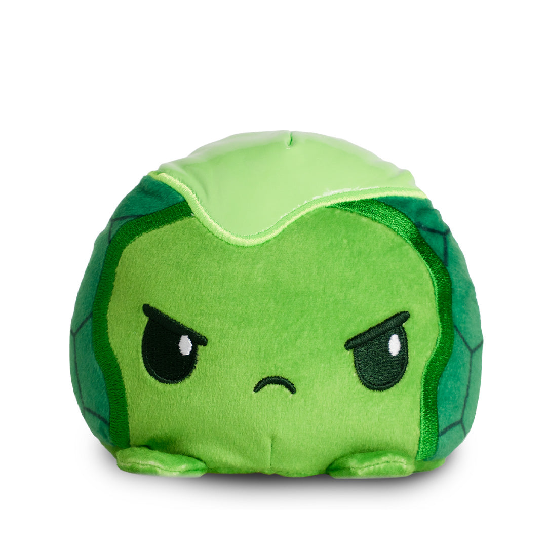 Raphael & Ooze Turtle 4