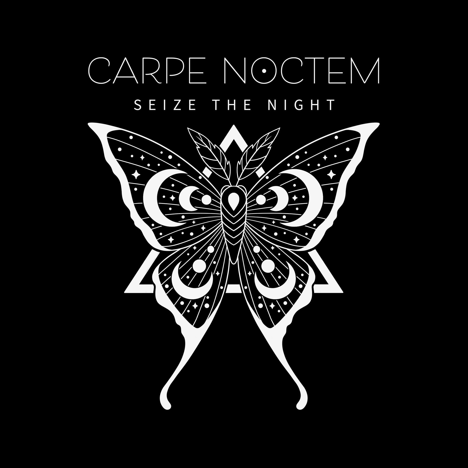 Classic Cotton T-shirt_TeeTurtle Carpe Noctem black t-shirt featuring an illustration of a detailed moth with celestial patterns.