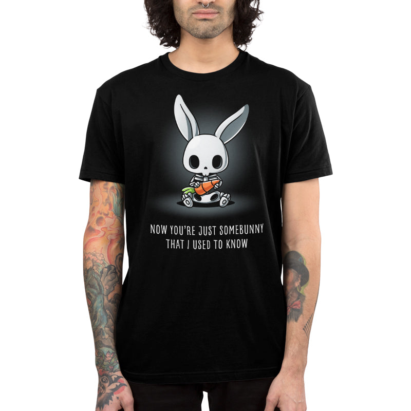 Somebunny That I Used to Know