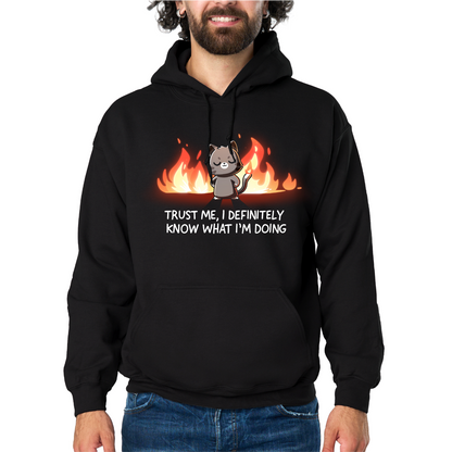 Pullover Hoodie_TeeTurtle black I Definitely Know What I'm Doing Pullover Hoodie featuring a smug gray cat standing confidently in front of bright flames with the text "Trust Me, I Definitely Know What I'm Doing."