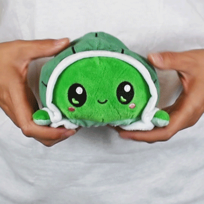 A person holding a TeeTurtle Reversible Turtle Plushie (Green Worried) stuffed animal.