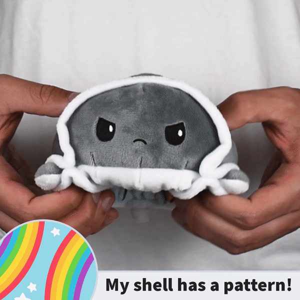 My TeeTurtle reversible turtle plushie (Storm Clouds Shell + Rainbows Shell) has a pattern.