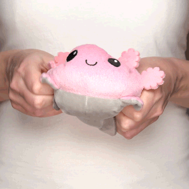A woman holding a TeeTurtle Reversible Axolotl Plushie (Gray + Pink Sparkle).