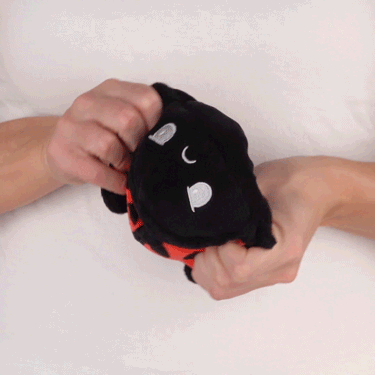 A person holding a black and red TeeTurtle Reversible Ladybug Plushie.