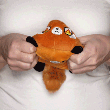 A person holding a TeeTurtle Reversible Red Panda Plushie (Orange) by TeeTurtle.