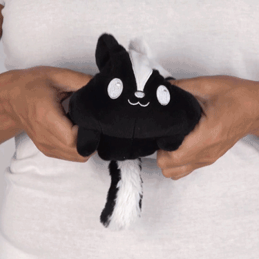 A person holding a TeeTurtle Reversible Skunk Plushie.