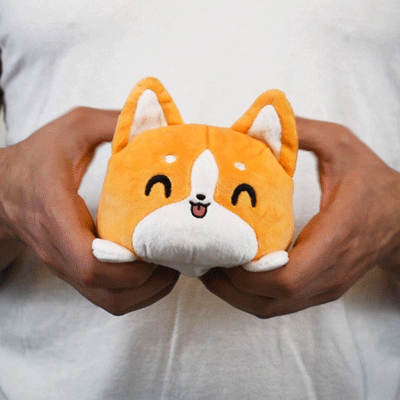 A person holding a TeeTurtle Reversible Corgi Plushie from TeeTurtle.