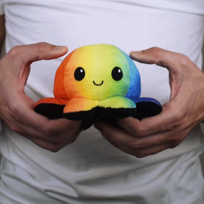 A person holding a TeeTurtle Reversible Octopus Plushie (Black + Rainbow)
