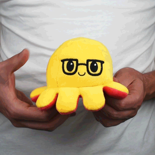 A man holding a TeeTurtle Reversible Octopus Plushie (Glasses).