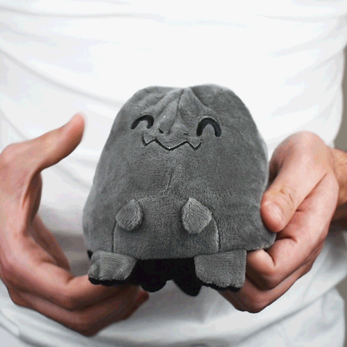 A person holding a TeeTurtle Reversible T-Rex Plushie (Black + Gray).