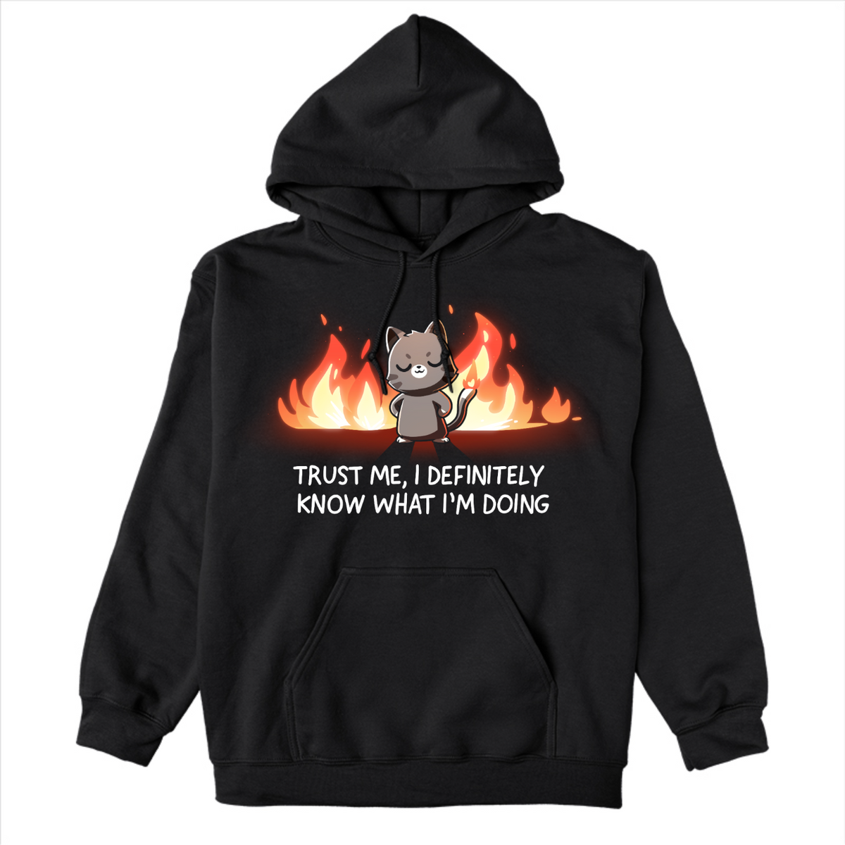 Pullover Hoodie_TeeTurtle black I Definitely Know What I'm Doing Pullover Hoodie featuring a smug gray cat standing confidently in front of bright flames with the text "Trust Me, I Definitely Know What I'm Doing."