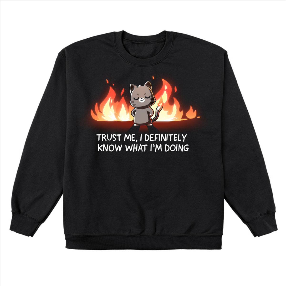 Crew Neck Sweatshirt_TeeTurtle black I Definitely Know What I'm Doing Crew Neck Sweatshirt featuring a smug gray cat standing confidently in front of bright flames with the text "Trust Me, I Definitely Know What I'm Doing."