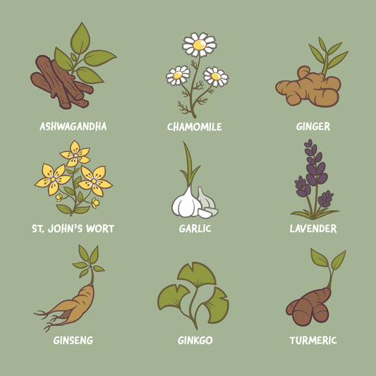A set of Nature's Medicine herbs and spices on a green background featuring chamomile by TeeTurtle.