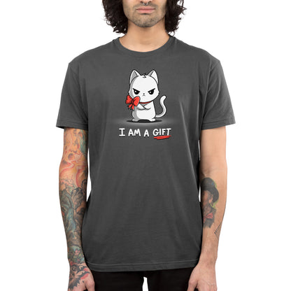 I am a TeeTurtle men's t-shirt in charcoal gray.