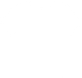 Classic Cotton T-shirt