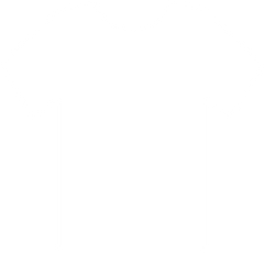 Classic Cotton T-shirt