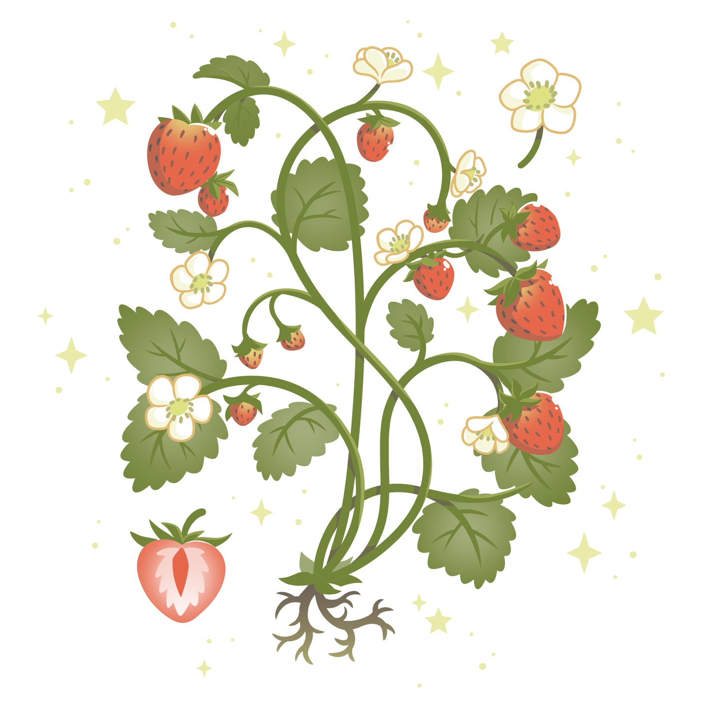TeeTurtle Strawberry Harvest plant vector | price 1 credit