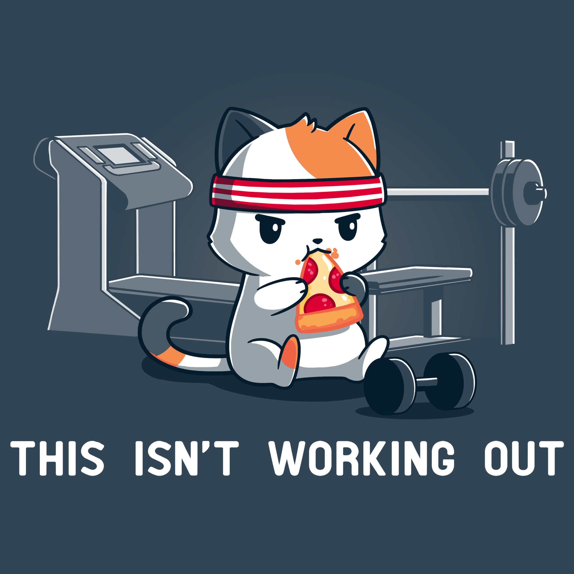 This TeeTurtle workout isn't working out.