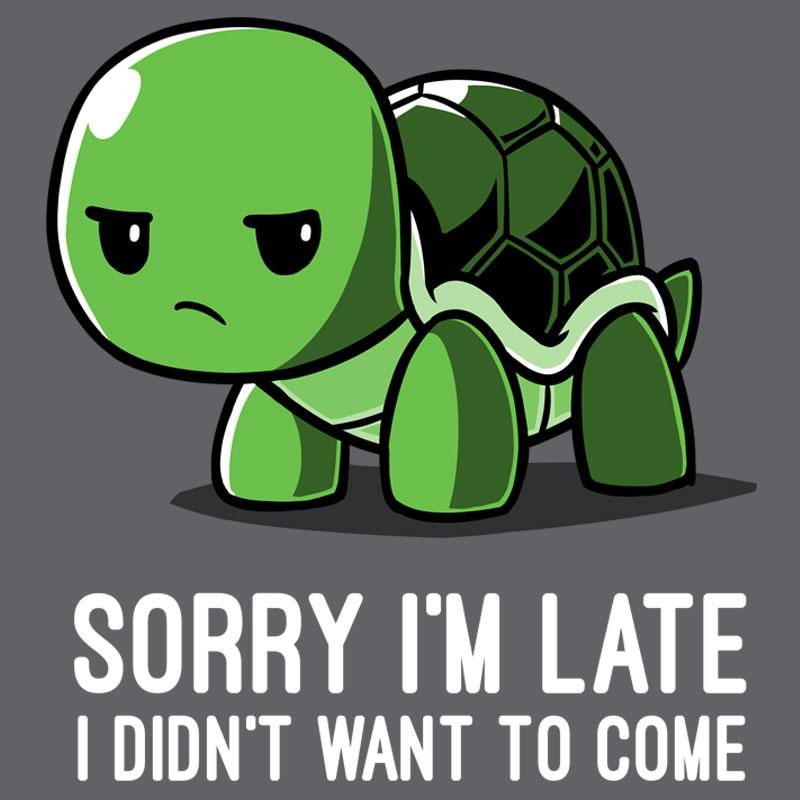 Sorry i'm late, I was too lazy to come wearing my "I Didn't Want To Come" TeeTurtle shirt.