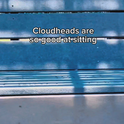 Video of Cloudheads: 5" Shiba Inu (Miso), Cloudheads: 5" Cloud Bunny (Nimbus), Cloudheads: 5" Calico Cat (Honeybean), and Cloudheads: 5" Sloth (Comet) sitting in many different places, such as a bench, shelf, playground, tree, beside a pool, etc.