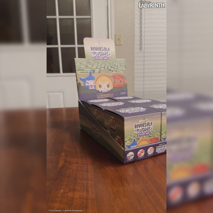 Labyrinth Mystery Box Unboxing Video